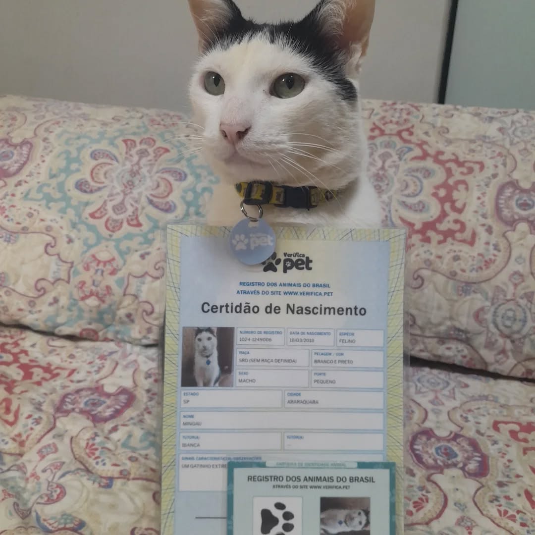 Review Tutor