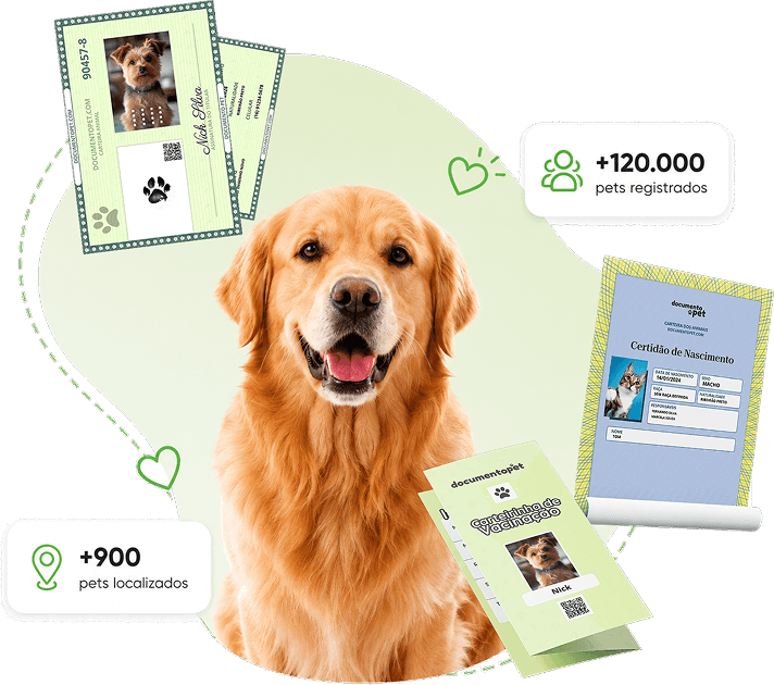 Banner Documentos e Identificação Pet